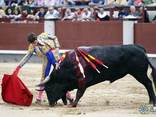 Disfrut� por el pit�n derecho