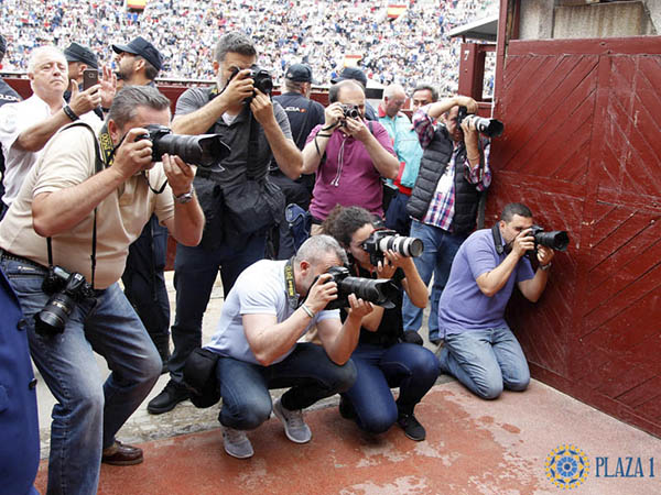 Cuatro Nikon, dos Canon, una Leica