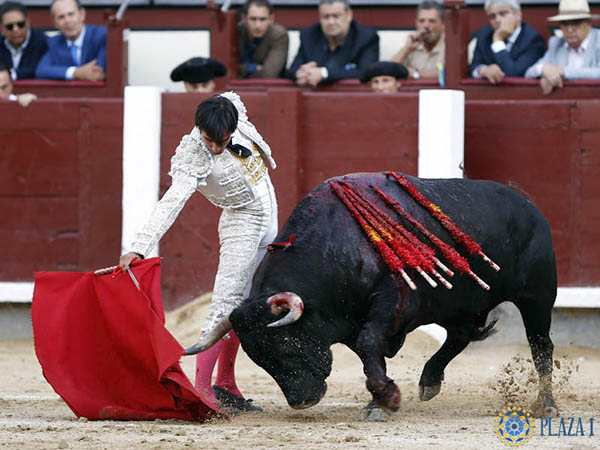 Solo un trofeo a G�mez del Pilar