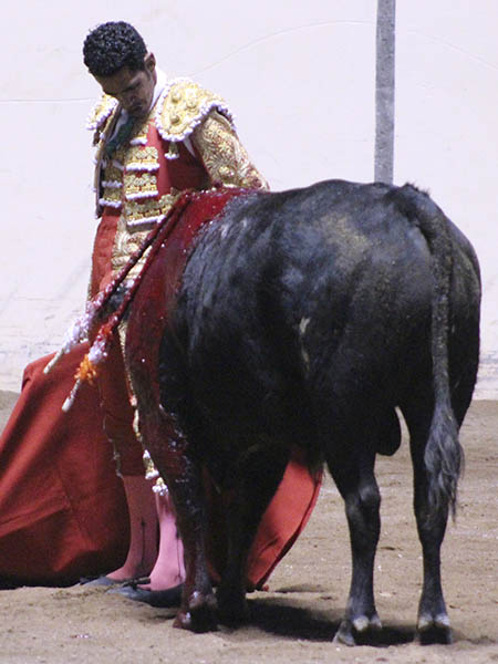 Calibrando al c�rdeno