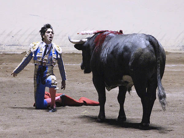 Desplante torero