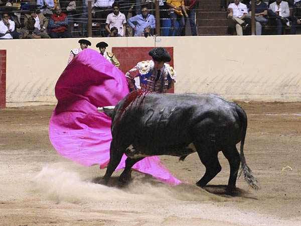 Los vuelos del percal