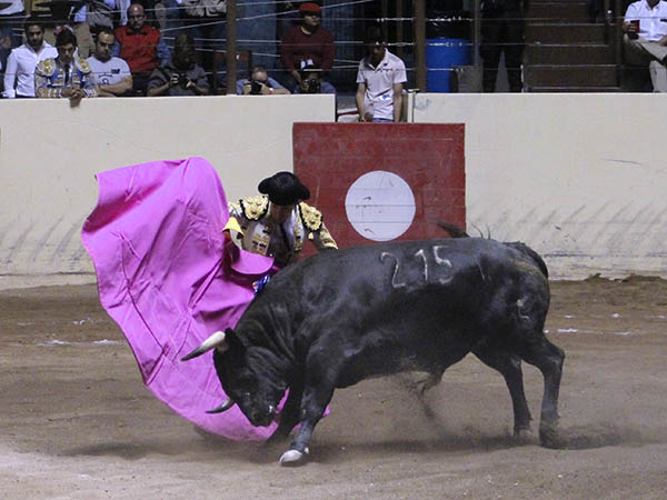 Ahormando la embestida