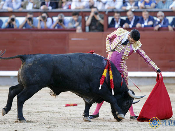 Cort� la �nica oreja concedida