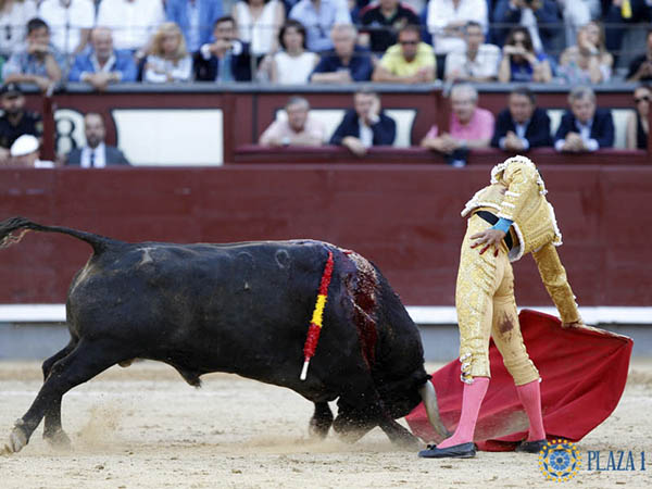 Metiendo la cara abajo