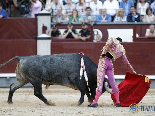 Tirando del c�rdeno