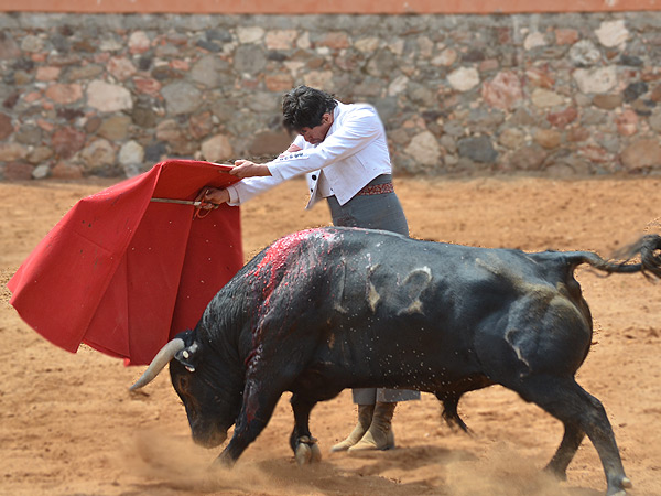 Homenaje a Luis Procuna