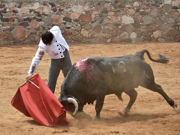 Sabor con la diestra