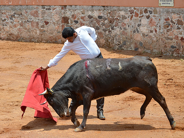 Leonardo Ben�tez, en acci�n