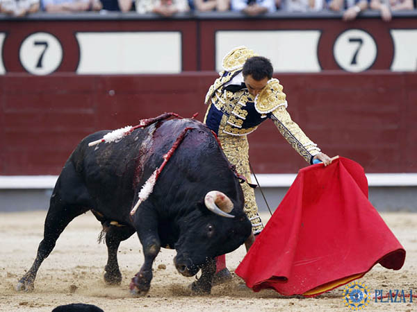 El Cid, con otro toro importante