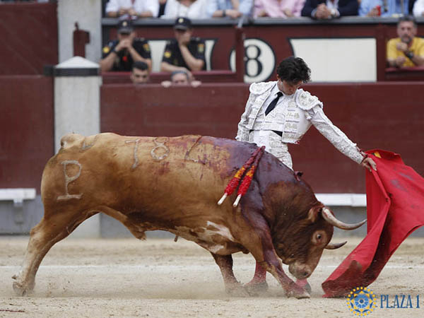 Le corearon con fuerza