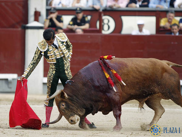 Aseado en los muletazos