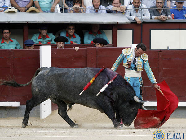 Ferrera, lo mejor de la tarde