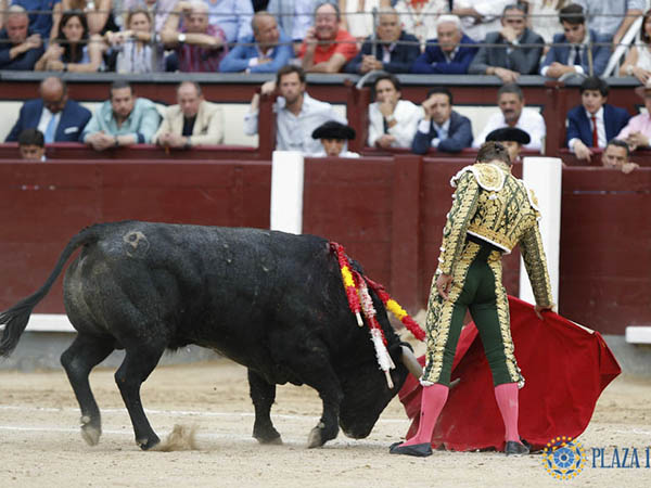 Escasa condici�n del ejemplar