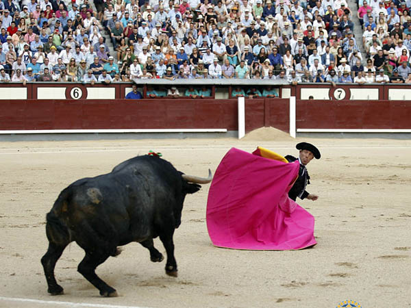 Portagayola de Manuel