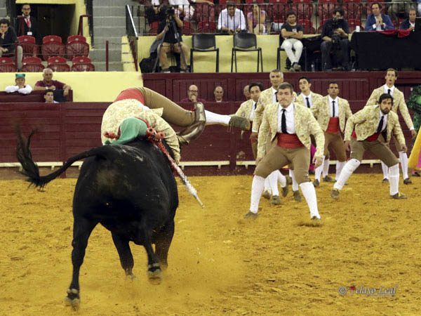 Amadores de Alcochete