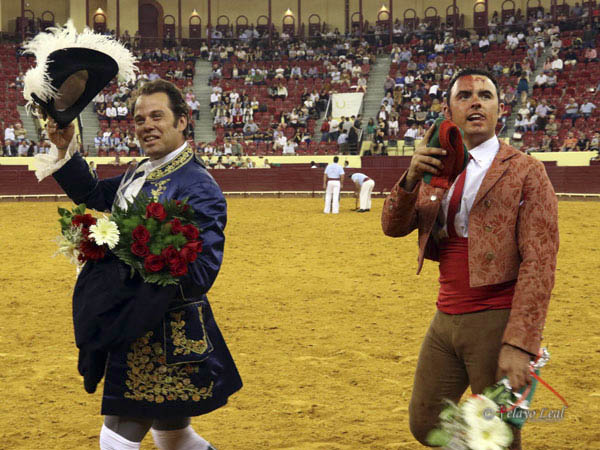 Recogiendo las palmas