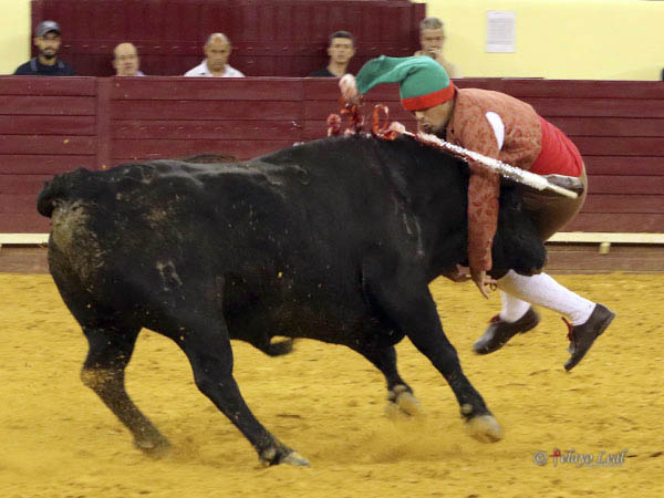 Maestr�a en la suerte