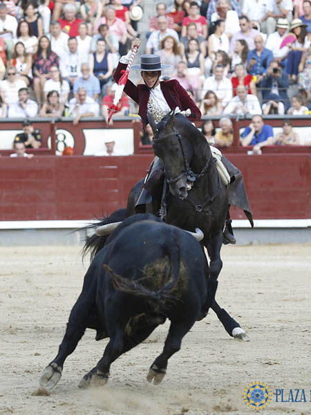 En la cara del ejemplar