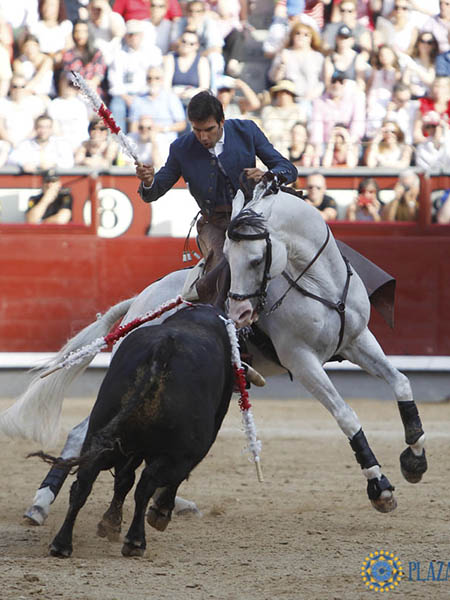 Temple en el tordillo