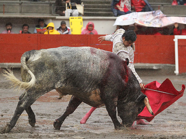Angelino de Arriaga con el quinto