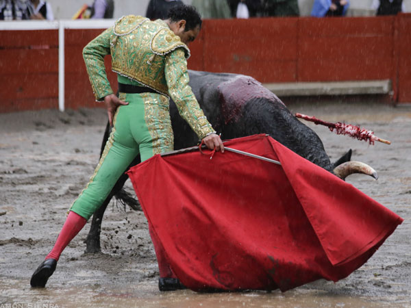 Sintiendo la embestida
