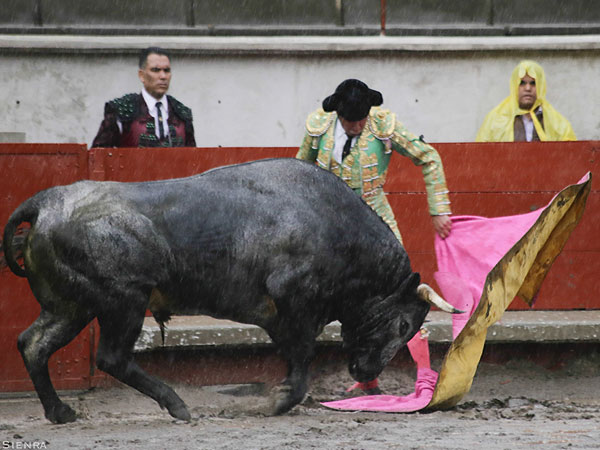 Jos� Luis Angelino