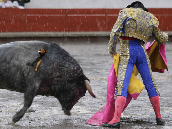 Jer�nimo artista del capote