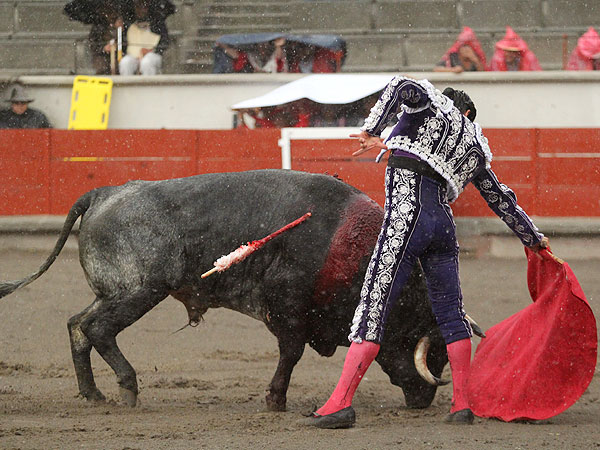 Llev�ndolo muy toreado