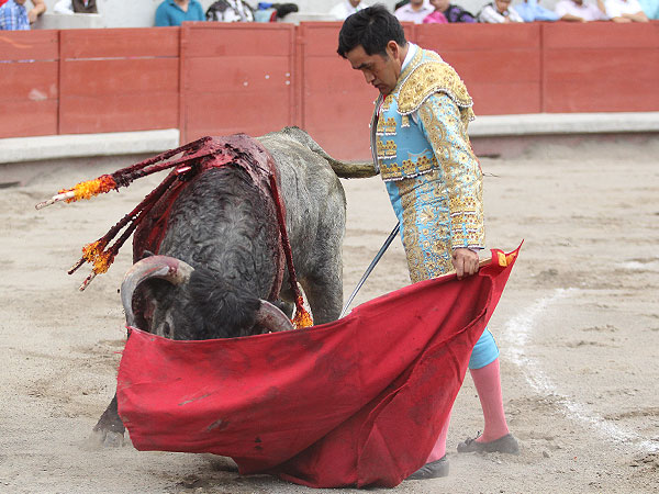 La solera del maestro