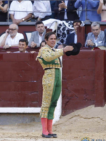 Recogiendo las palmas