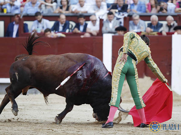 Metiendo la cara abajo