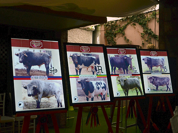 Los encierros tlaxcaltecas