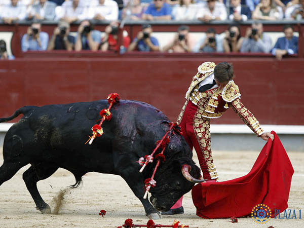 Banderillas dispares