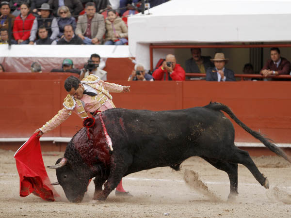 Ante la afici�n mexicana