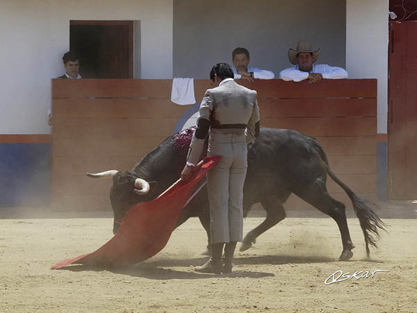 Desmayando el enga�o