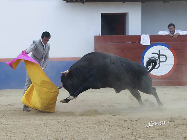Primeros lances al negro