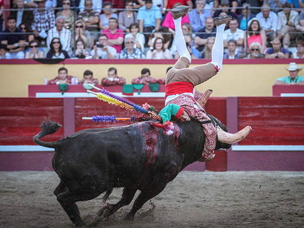 La pega de Luis Sousa 