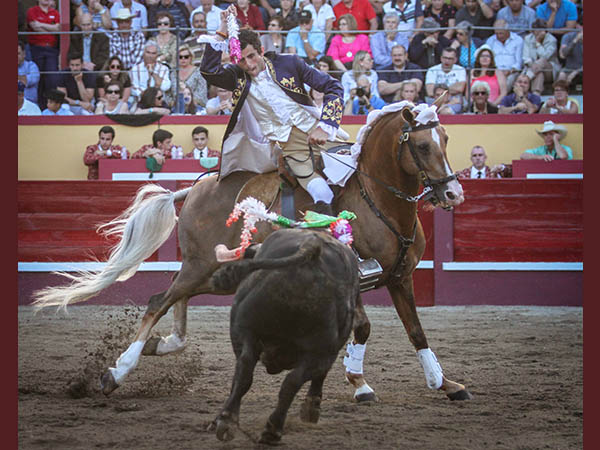 Pamplona y un toro de Sousa
