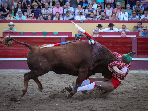 Rui Gonidho en acci�n