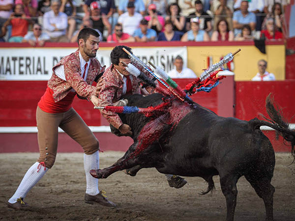 Joao Silva de los forcados TTT