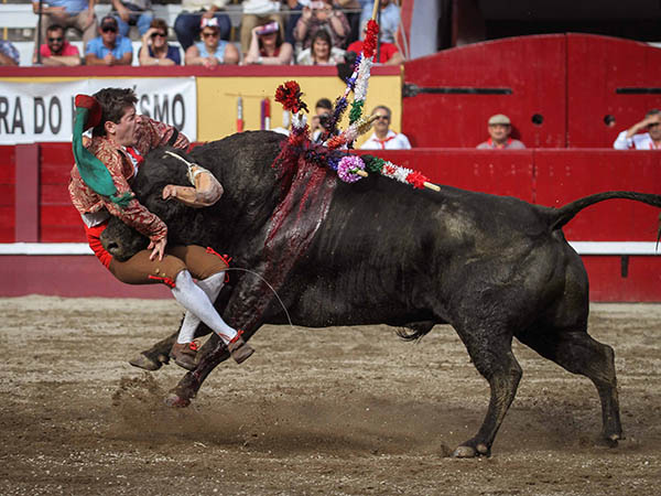 El valor de Luis Cunha, de la TTT