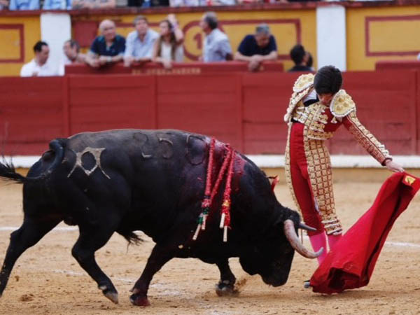 Verticalidad pacense