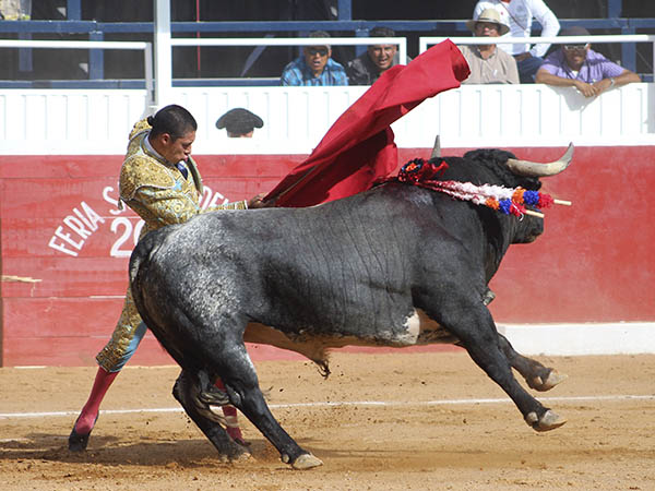 Luci� ante un buen 