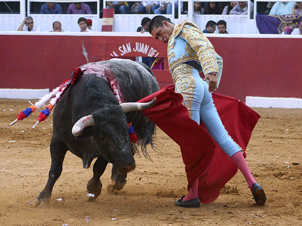 Variedad en la muleta