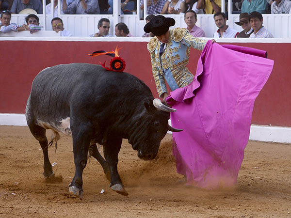 Ver�nicas de Flores