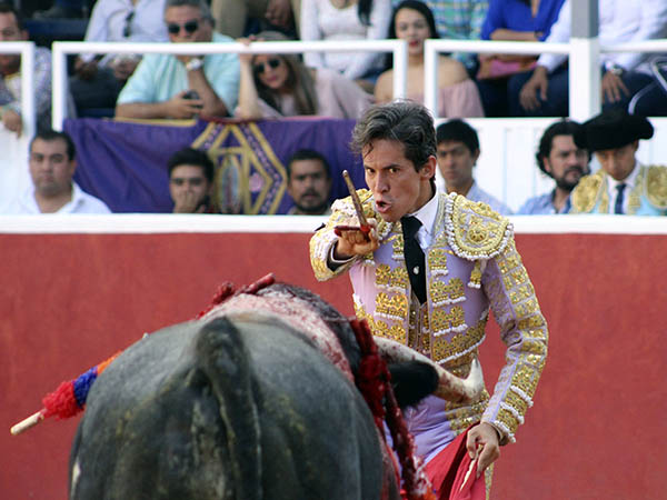 Perfilado con el estoque