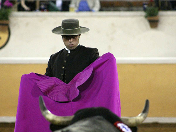 La lidia de Ferm�n Rivera