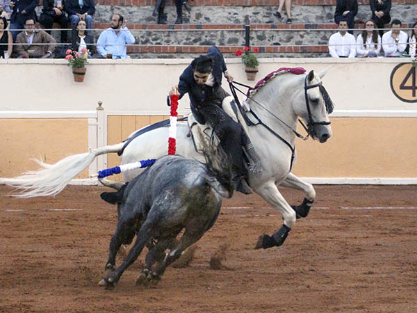 Banderilla a la grupa