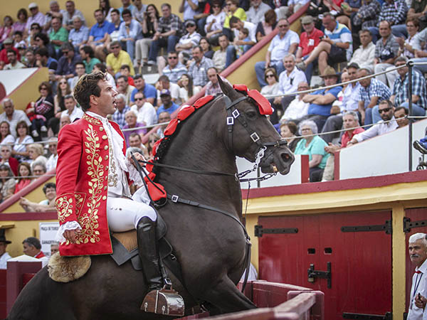 Saludo de Marcos Bastinhas